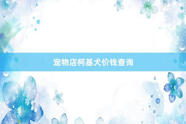 宠物店柯基犬价钱查询